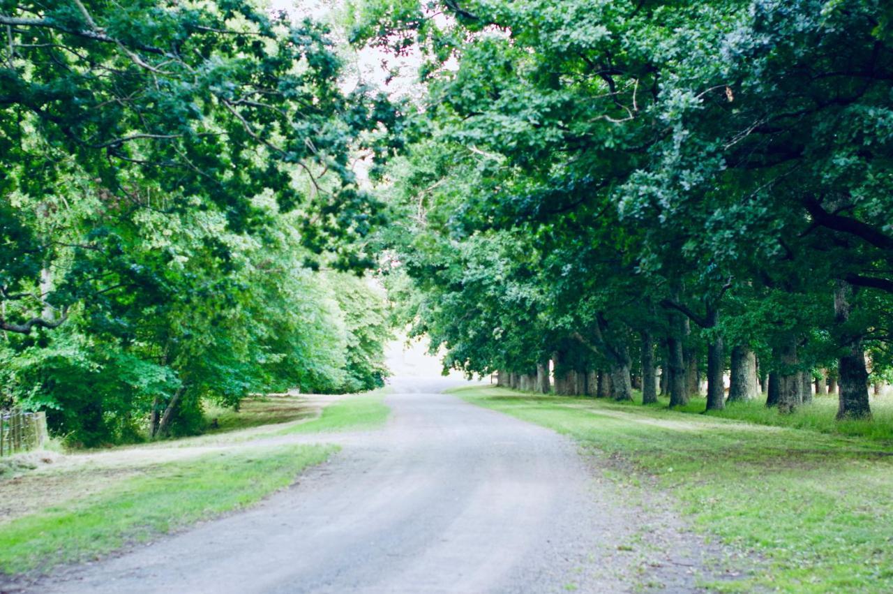 Wallingford Homestead Buitenkant foto