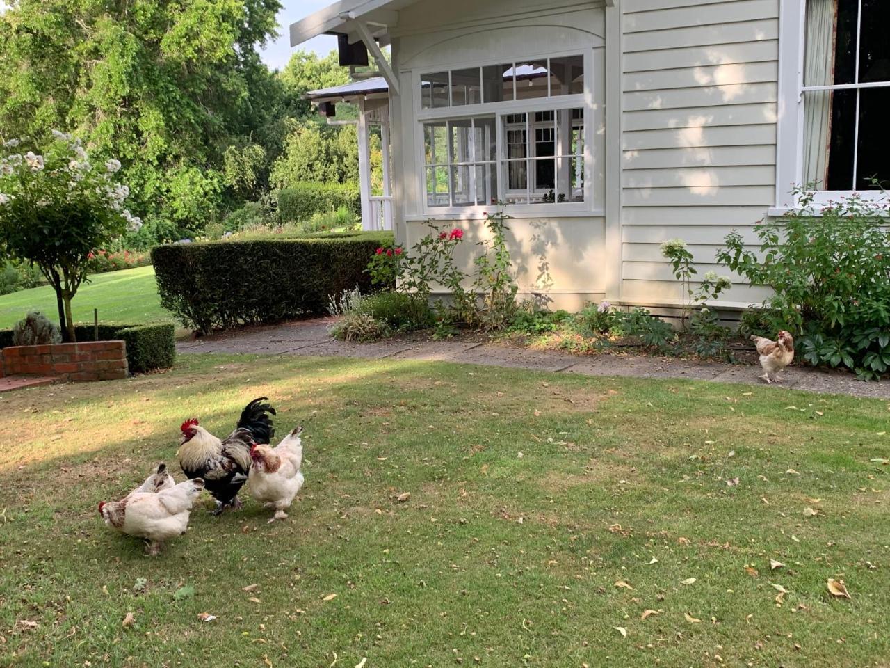 Wallingford Homestead Buitenkant foto