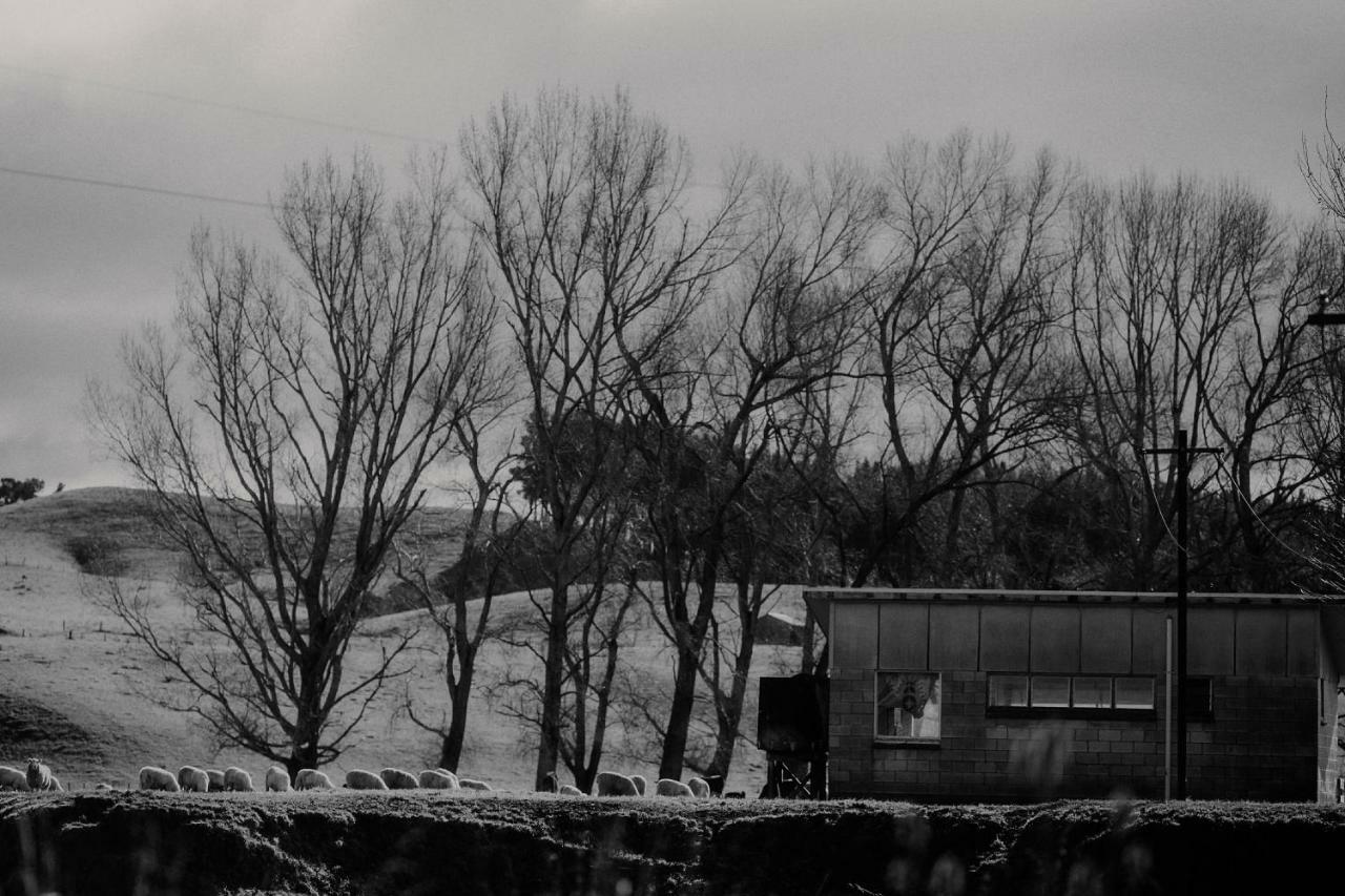 Wallingford Homestead Buitenkant foto