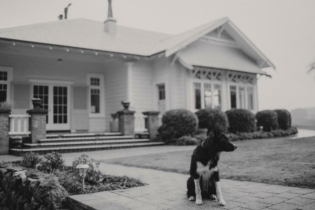 Wallingford Homestead Buitenkant foto